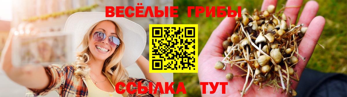 Галлюциногенные грибы GOLDEN TEACHER  Вход с VPN  Грязи 
